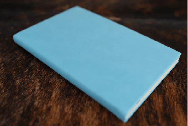 sky blue journal